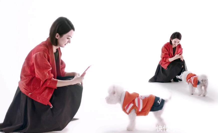 赵丽颖疼爱她家比熊犬的3点原因,第2点让人佩