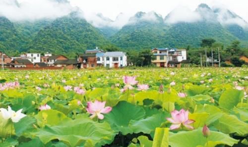  「桂林」广西最宜居的县城，幸福感超过南宁，风水美如桂林