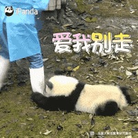 坐地铁排两个小时！100公里开4小时！今天你准时到岗了吗？