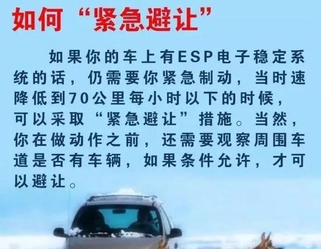 事故■高速事故预警丨为躲小动物，小轿车栽入沟中！如果是你，你躲吗？