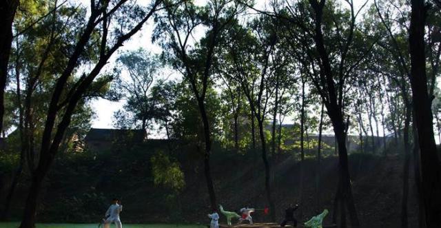 陈家沟——太极拳的发源地、太极拳祖祠,太极拳走这里走向世界!