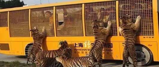  「慢慢」中国212个AAAAA景区全在这里, 存起来, 慢慢走完!