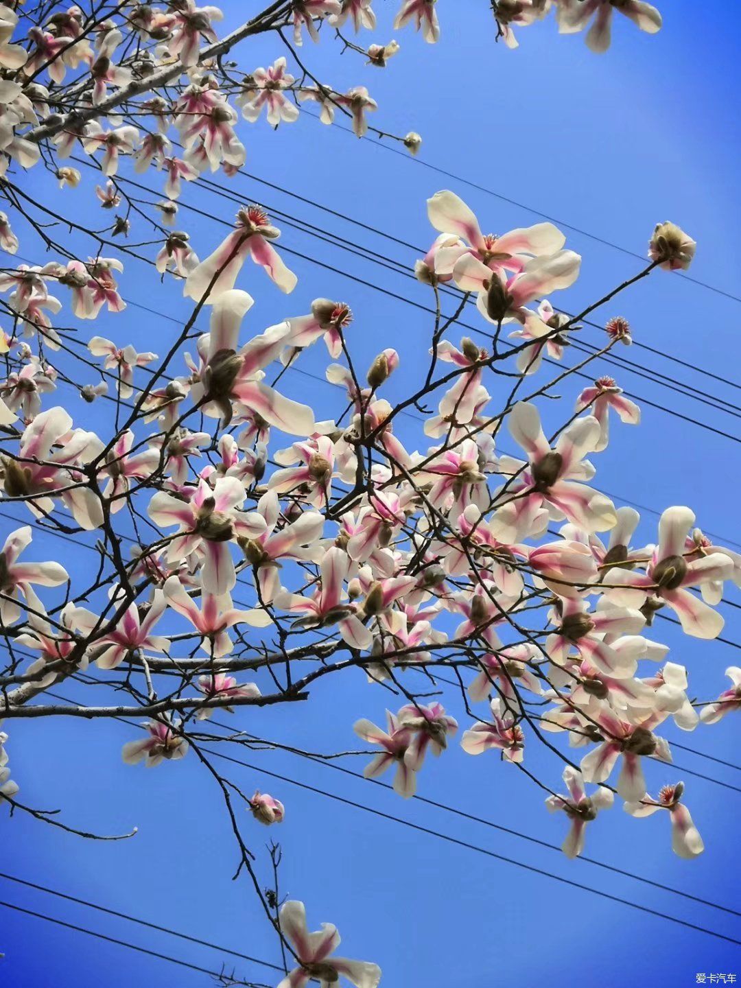 如何做好安全工作