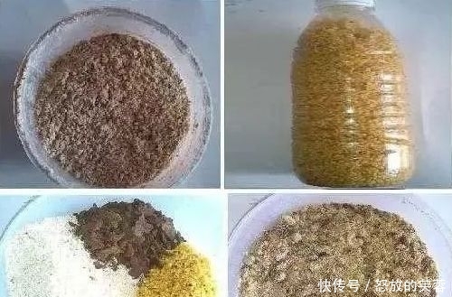 『玉米』第一次公开!诱鲫鱼最快的窝料配方,用了7年屡试不爽!