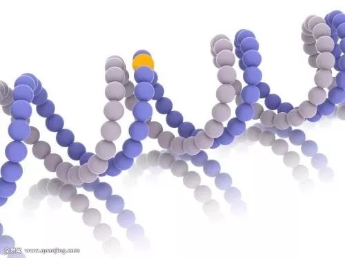 八月有关健康的流言，容县人你相信了几条？