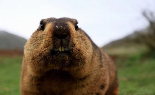 四个花季少女，自驾牧马人远赴西藏，只为那一场圆梦之旅!