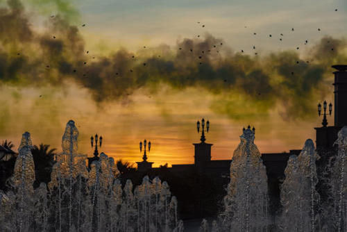 阿布扎比皇宫大酒店谁给认定的，你说八星级就是八星级？