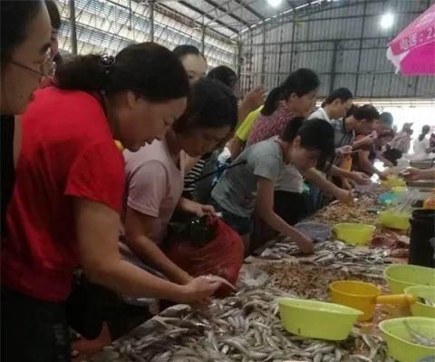 今天,北海一条鱼卖了708888元!最新海鲜价格是这样的