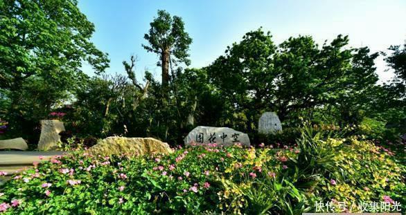  #唯一#西部唯一的沿海省会城市也是华南唯一的特大城市