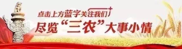 农业农村部介绍：玉米价格，已涨！猪价，要跌！大豆价格，看质量