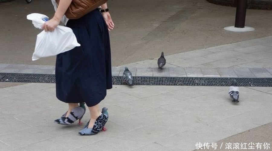 大妈|女子穿自制高跟鞋喂鸽子,老人看到后,以为她在虐待鸽子