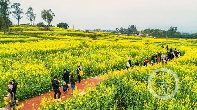 暖春花开香百里 乡村发展正当时【2020热门旅游景点】