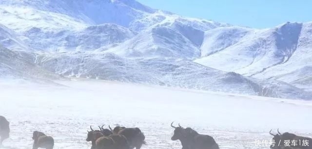 你有勇气挑战中国四大无人区吗？