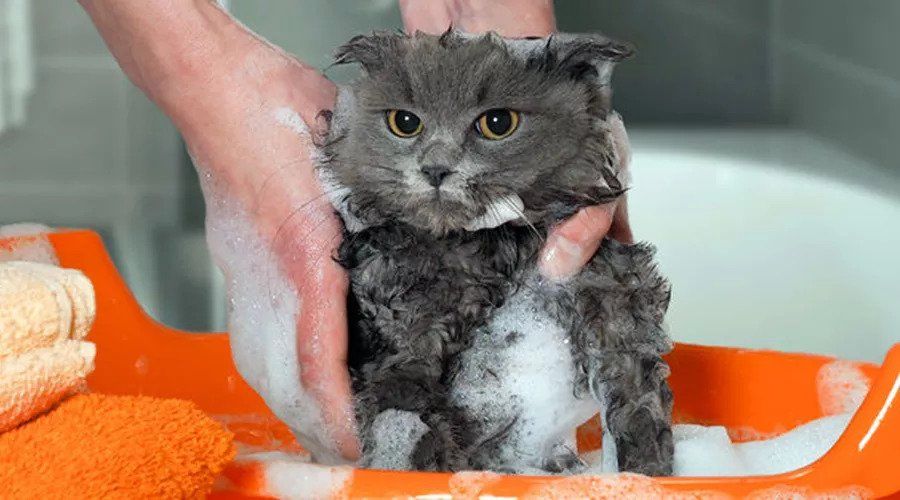 15 个医生才知道的护肤小知识，帮你省钱又变美