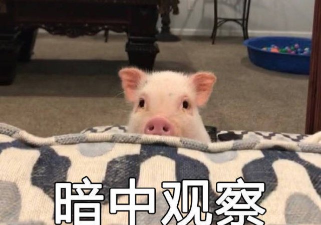  [互看]男生眼中什么样的女生好看 男生与女生互看对方的区别