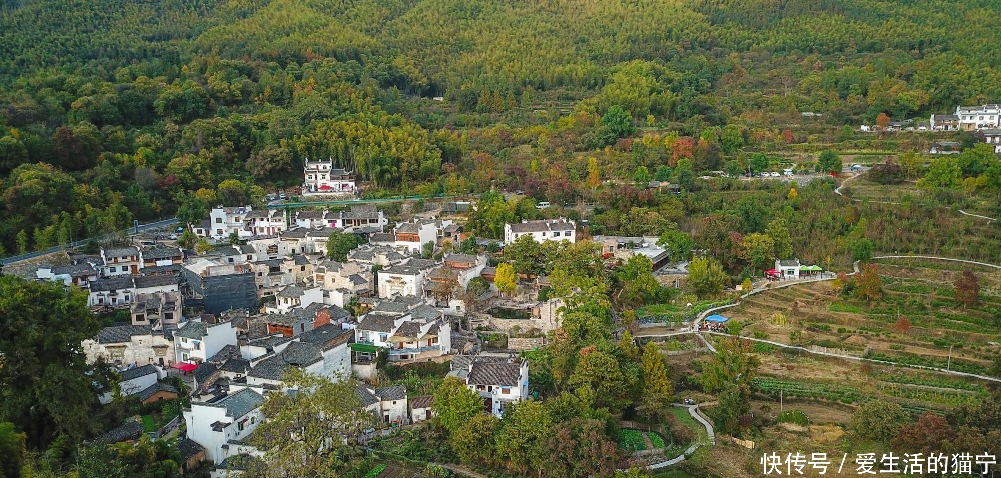 安徽最美秋色即将上线 三个人少景美的赏秋胜地 错过要再等一年