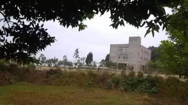  耕地■农村未来将实行“一户一田”政策，你怎么看？