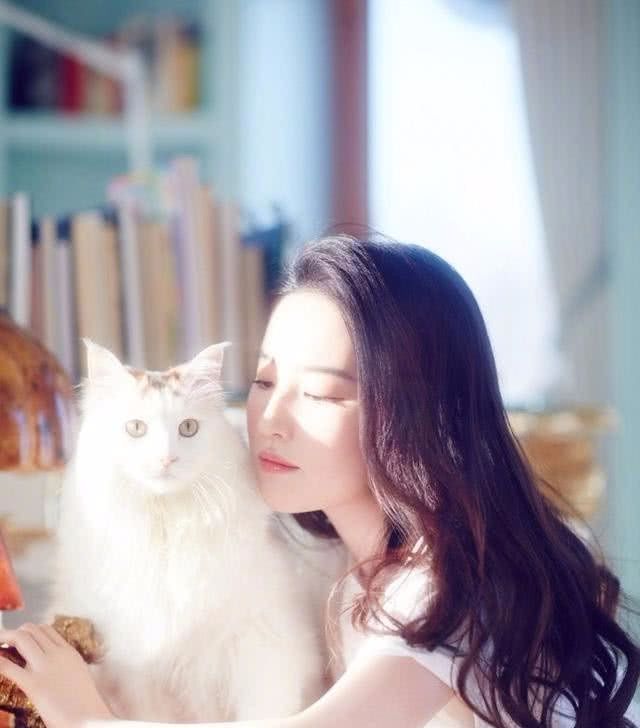「收养」比伯一只猫价值12万,刘亦菲却只收养流浪猫,爱心有价格吗