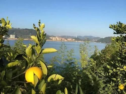  岛上的破：40岁中年大叔，买下一座岛，将岛上破屋改造成豪宅，让人羡慕