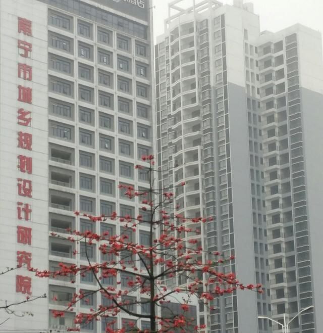  「鱼悦」雾里看花钓鱼忙，东风鱼儿把口开，鱼悦的一天