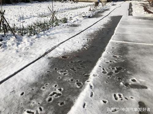 积雪10厘米！寒潮已强势南下，江淮黄淮一夜大雪后银装素裹