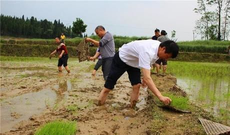  当心|在农村，这3种农民会被严查，轻则罚款，别不当心