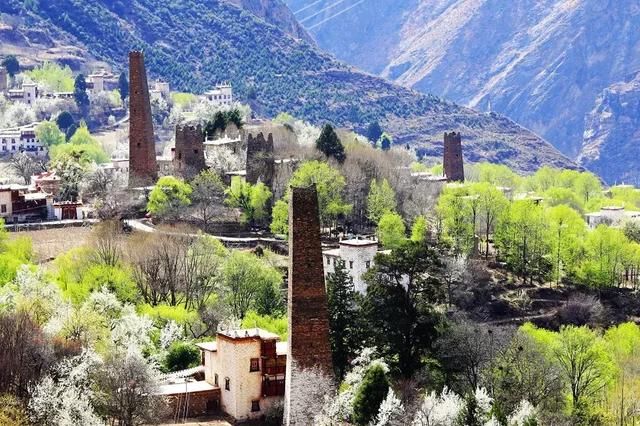 2019年，去林芝看桃花！