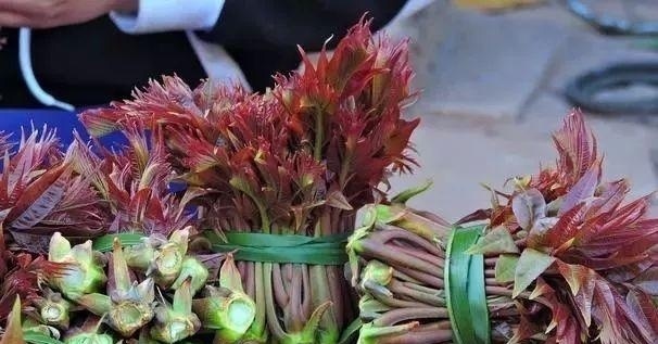  农民■“天价香椿”的背后，农民赚的盆满钵满？老农4句话，点醒