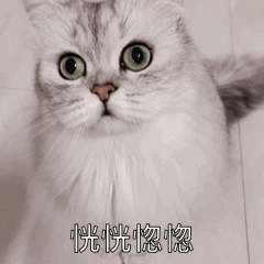  「适合」40条春季吊带裙示范, 适合微胖女生!