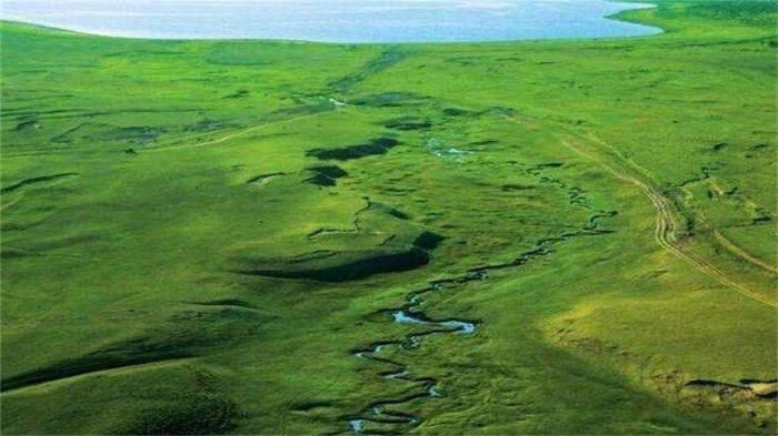 全世界最窄的河流！鱼挤着游过去，放本书就能当桥