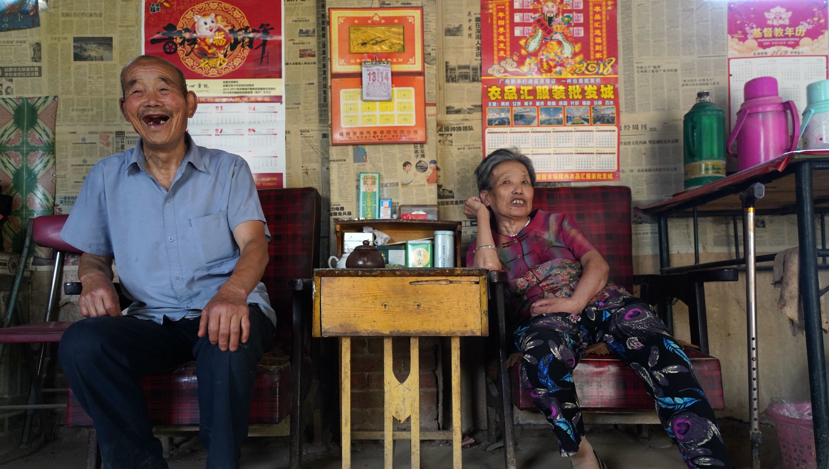 76岁农民大爷家发现野生杏树，三伏天成熟，果实很诱人