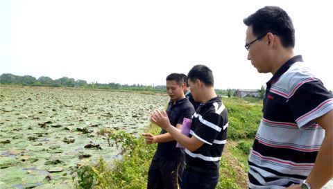  留在|未来几年农村这几类人，留在村里将有一番作为，看看里面有