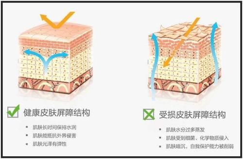 『不再』想要皮肤好,洗脸记住“四不要”,要不再贵的护肤品都白用了
