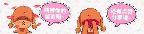  喜欢■喜欢在家中养花，就养几种寓意吉祥开花美，四季常开爆满盆的花