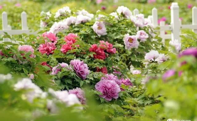 来了！山东这条“最牛”高铁下月通车！坐上它去这些地方“打卡”