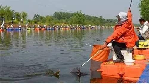  钓友们■是哪些原因导致黑坑鱼口短暂，有什么好办法来解决么