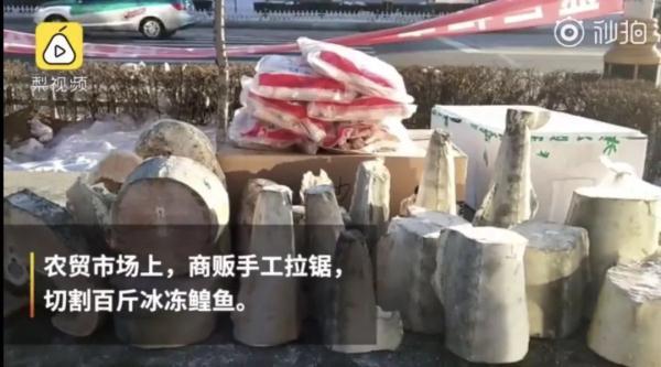 百斤大鱼锯着卖！有些人看起来是鱼贩，其实是个木匠