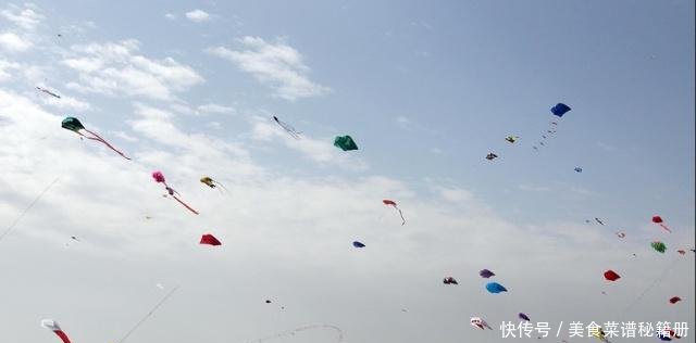想致富先修路，恭喜山东喜提“济潍高速”公路一条，可喜可贺！