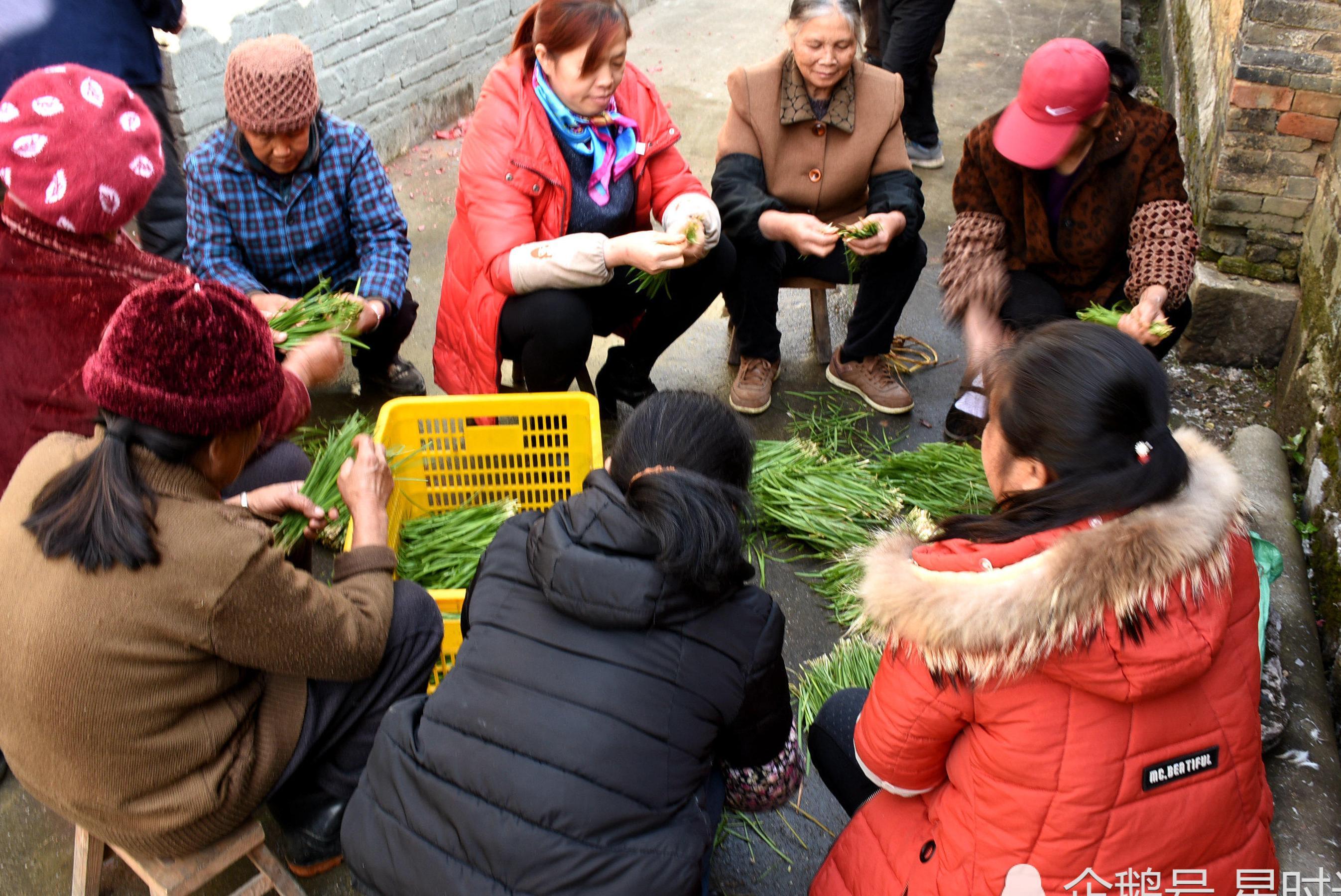 藏在大山中的村庄如世外桃源 曾走出9位进士