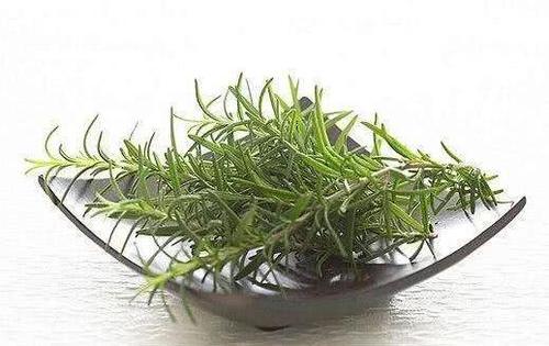 毛孔粗大是因为螨虫挤大，3方法有效除螨，排空毛孔螨虫