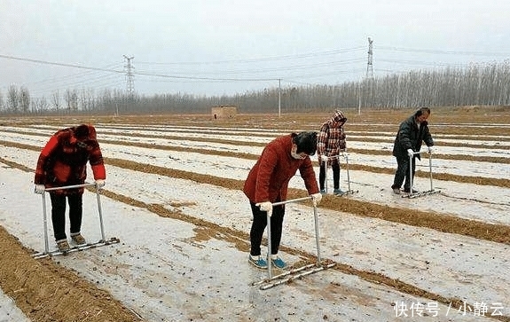 出嫁女的户口推诿扯皮? 元旦后, 国家有了新规定, 要求必须落实!