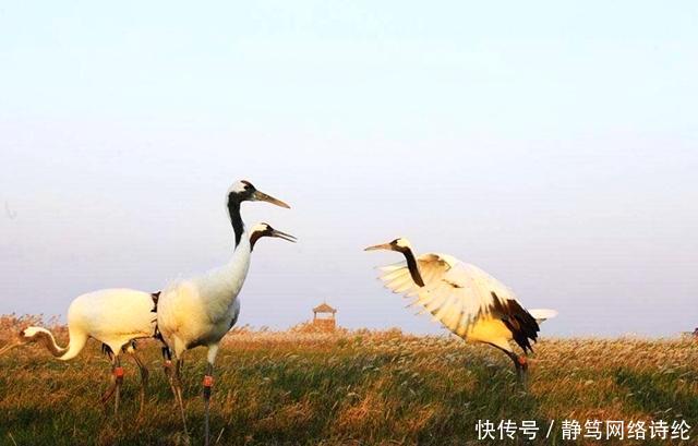 江苏面积最大的城市, 相当于一个北京大, 经济上却排名倒数!