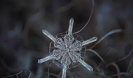 雪花摄影，9年专注于拍摄雪花，他拍摄出最美的雪花照片