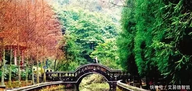 国务院点名! 沙坪坝、江北、涪陵、万州……这20个区都在榜!