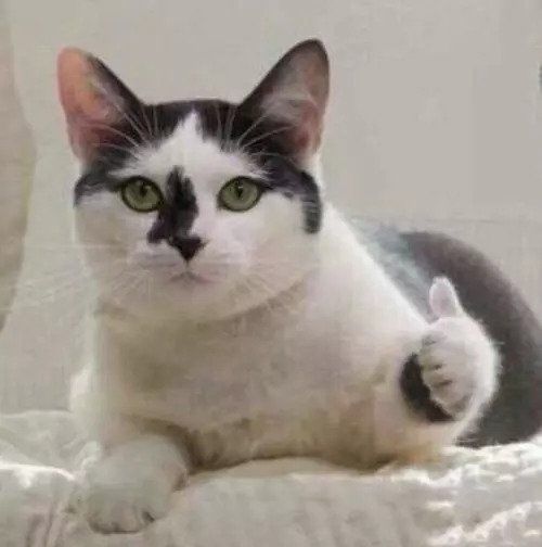 最适合今年秋天涂的口红色号，我终于找到了!