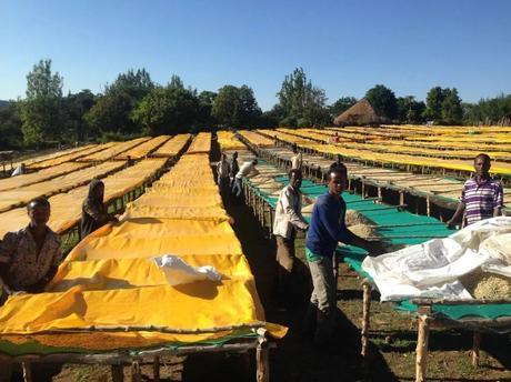 如何判别咖啡豆是否新鲜，看看这