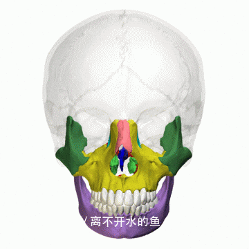  「综合」颧弓与泪沟的综合修饰，一个拯救脸型bug的神奇高光点