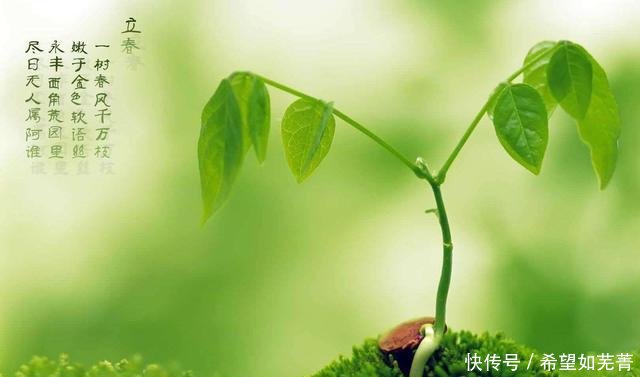  「些特殊」2020年是双春年，又是闰4月，有什么讲究吗