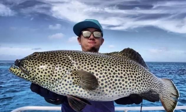  【身价】没有百万身价，就不配玩海钓？你所认知的海钓，原来竟能这样玩！