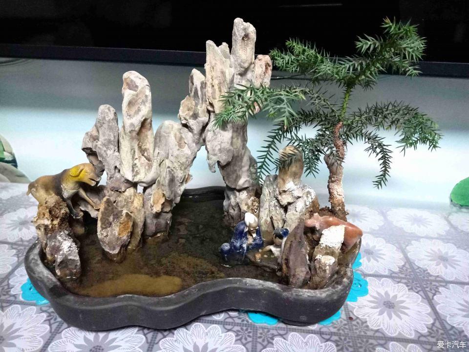 小山水盆景里的大千世界